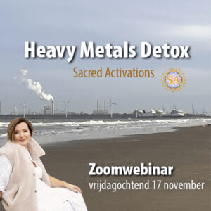 Heavy Metal Detox